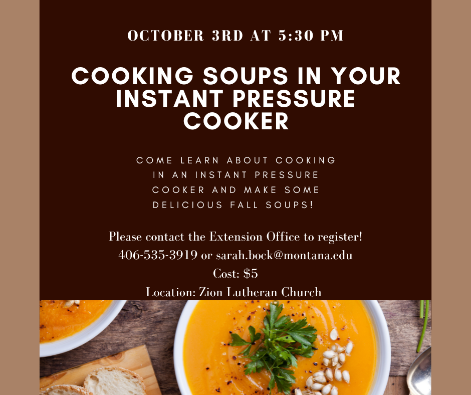 Cooking Soup in your Insta Pot October 10, 2022 5:30 Zion Lutheran Church
